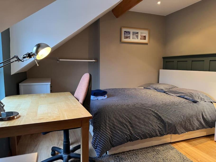 Stylish, Spacious And Central 4 Bedroom House Belfast Bagian luar foto